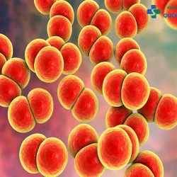 [Cập nhật] Chi phí chữa bệnh lậu năm 2024 là bao nhiêu?