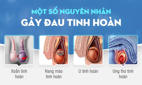 Top 10 địa chỉ phòng khám đau tinh hoàn Bắc Ninh giá hợp lý, hiệu quả cao